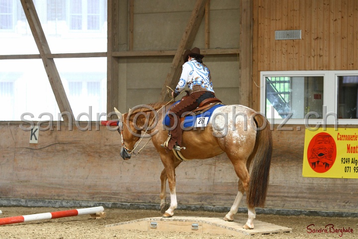 28-ApHC OT_010.jpg